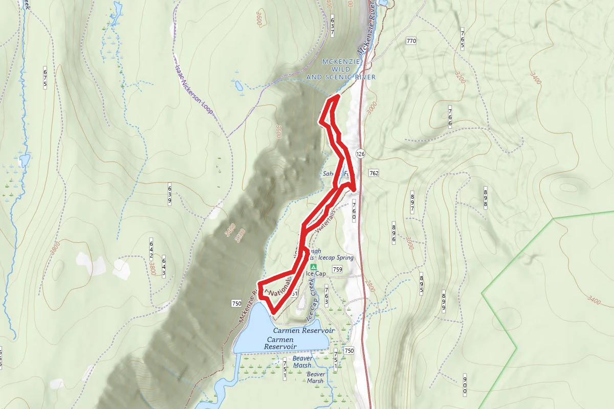 Koosah and Sahalie Falls Trail