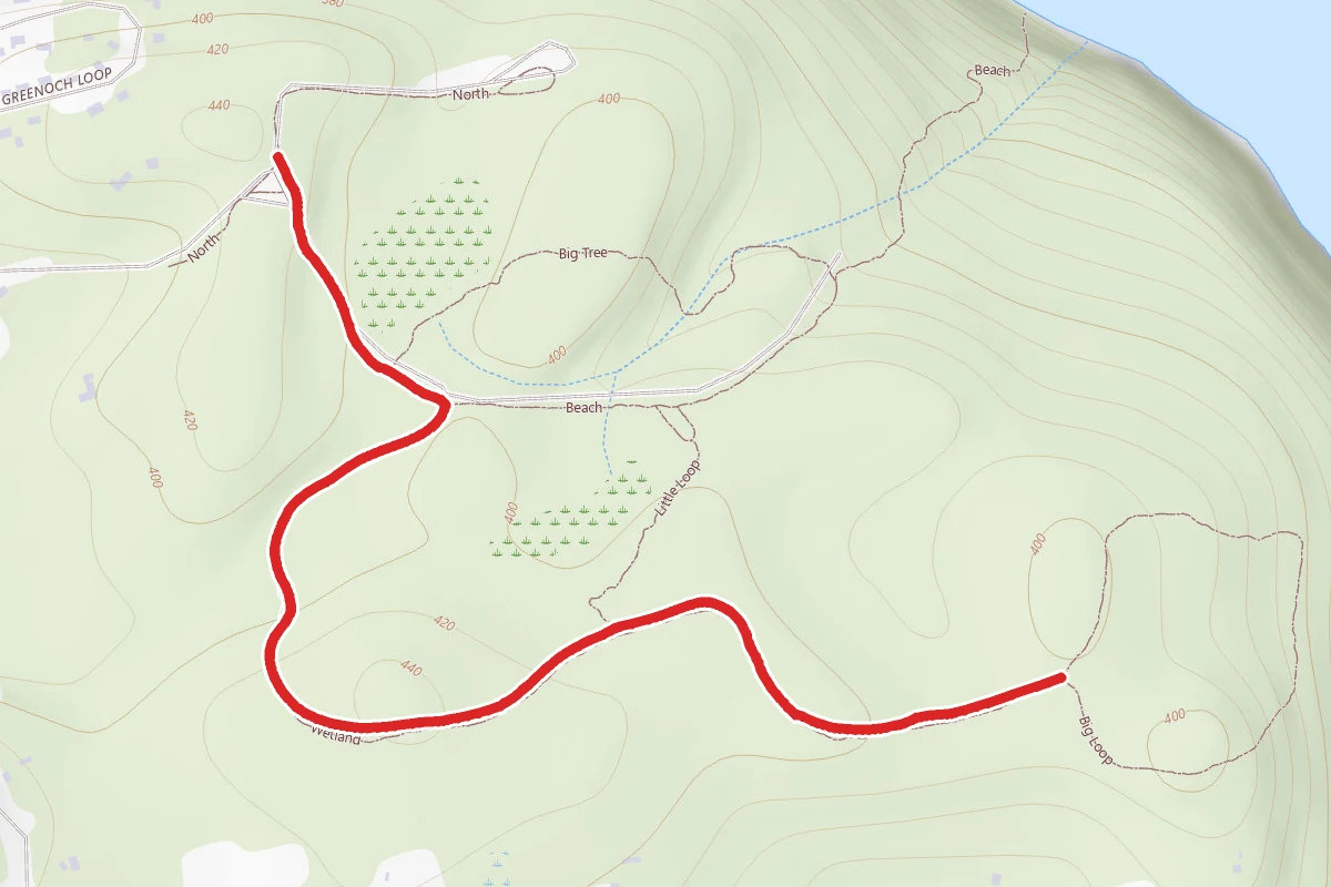 North, Wetland, Big Loop and Big Tree Loop