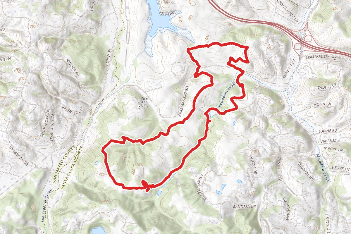 Redtail Loop Trail to Arastradero Creek Trail Loop
