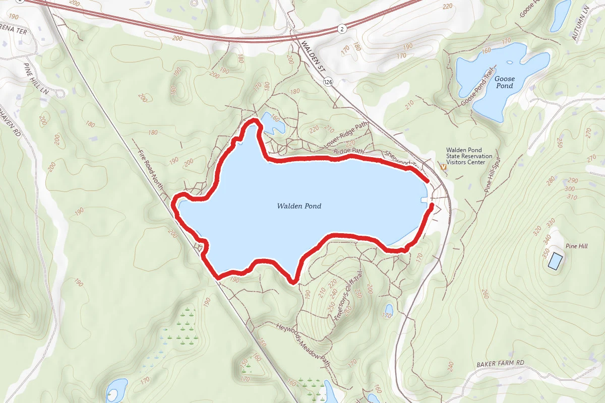 Beaver Pond Loop