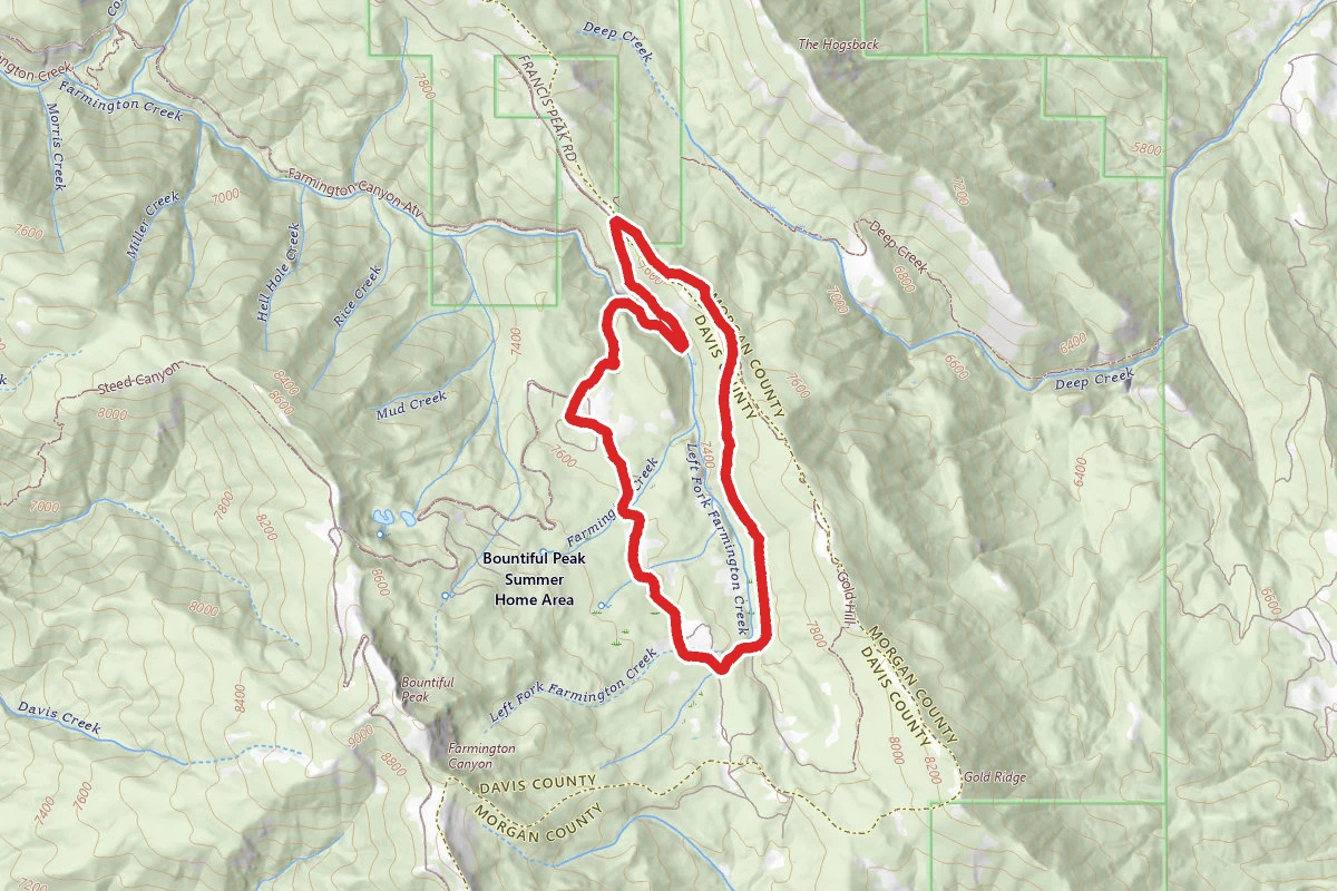 Francis Peak Trail