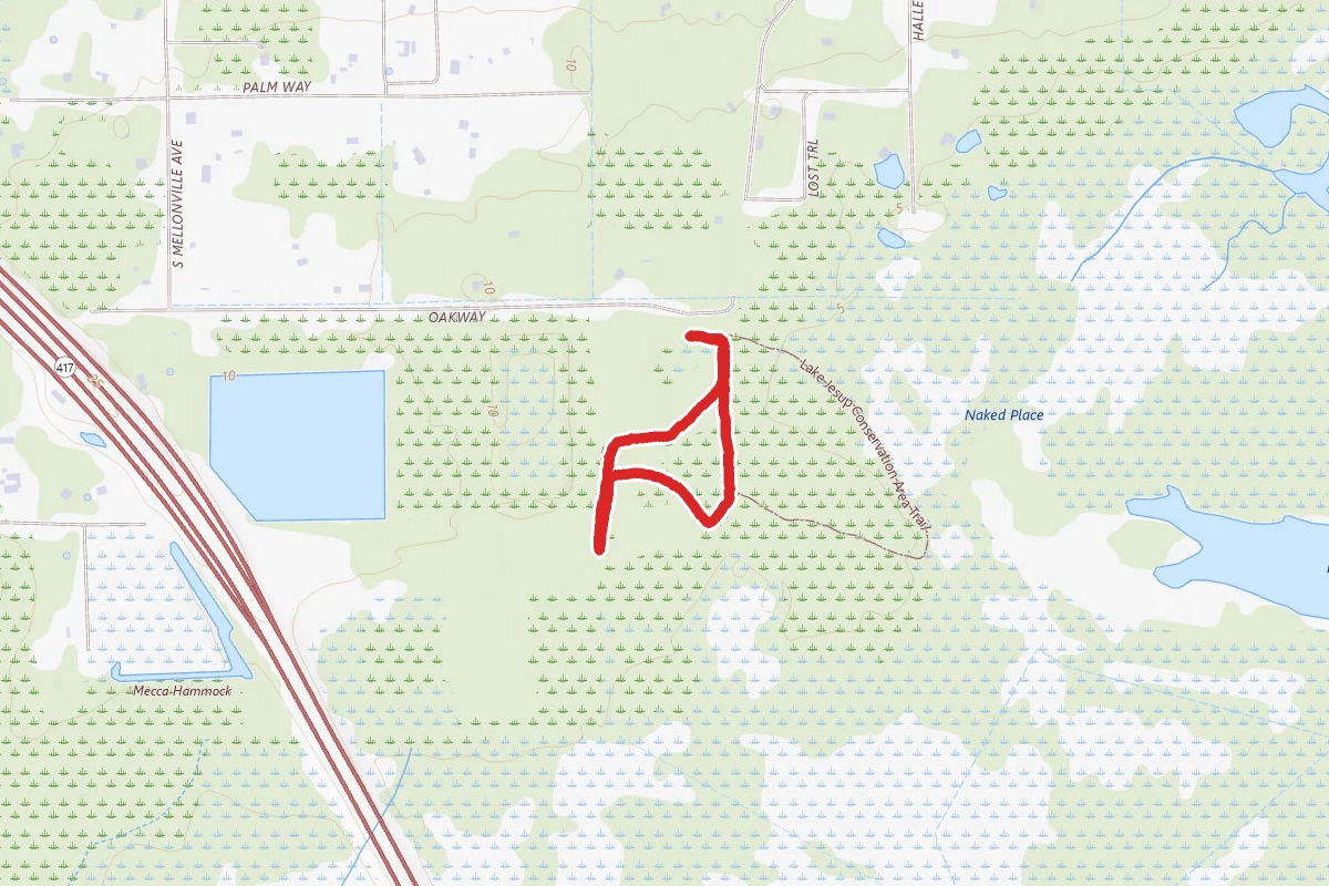 Lake Jesup Marl Bed Flats