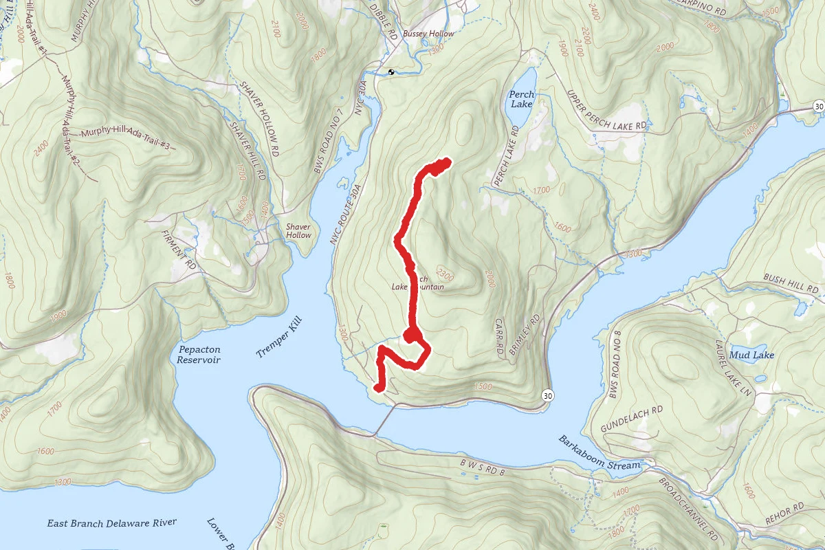 Shavertown Trail