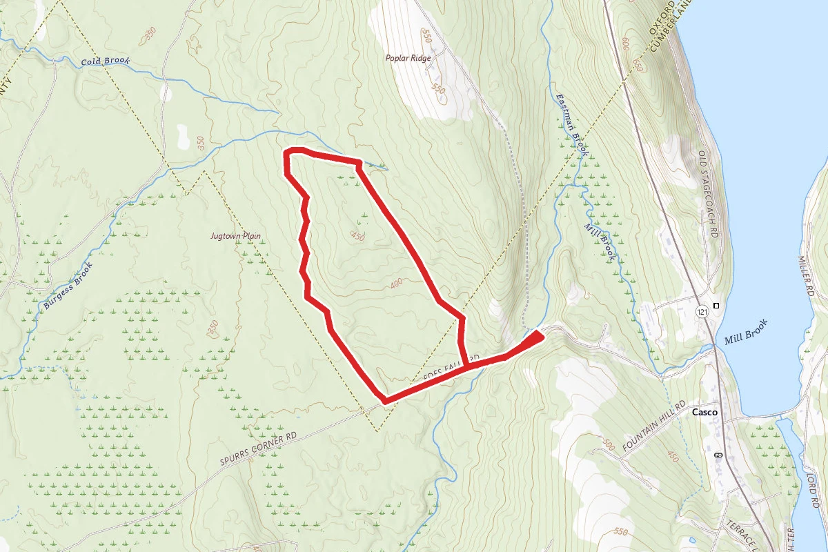 Jugtown Forest Trail