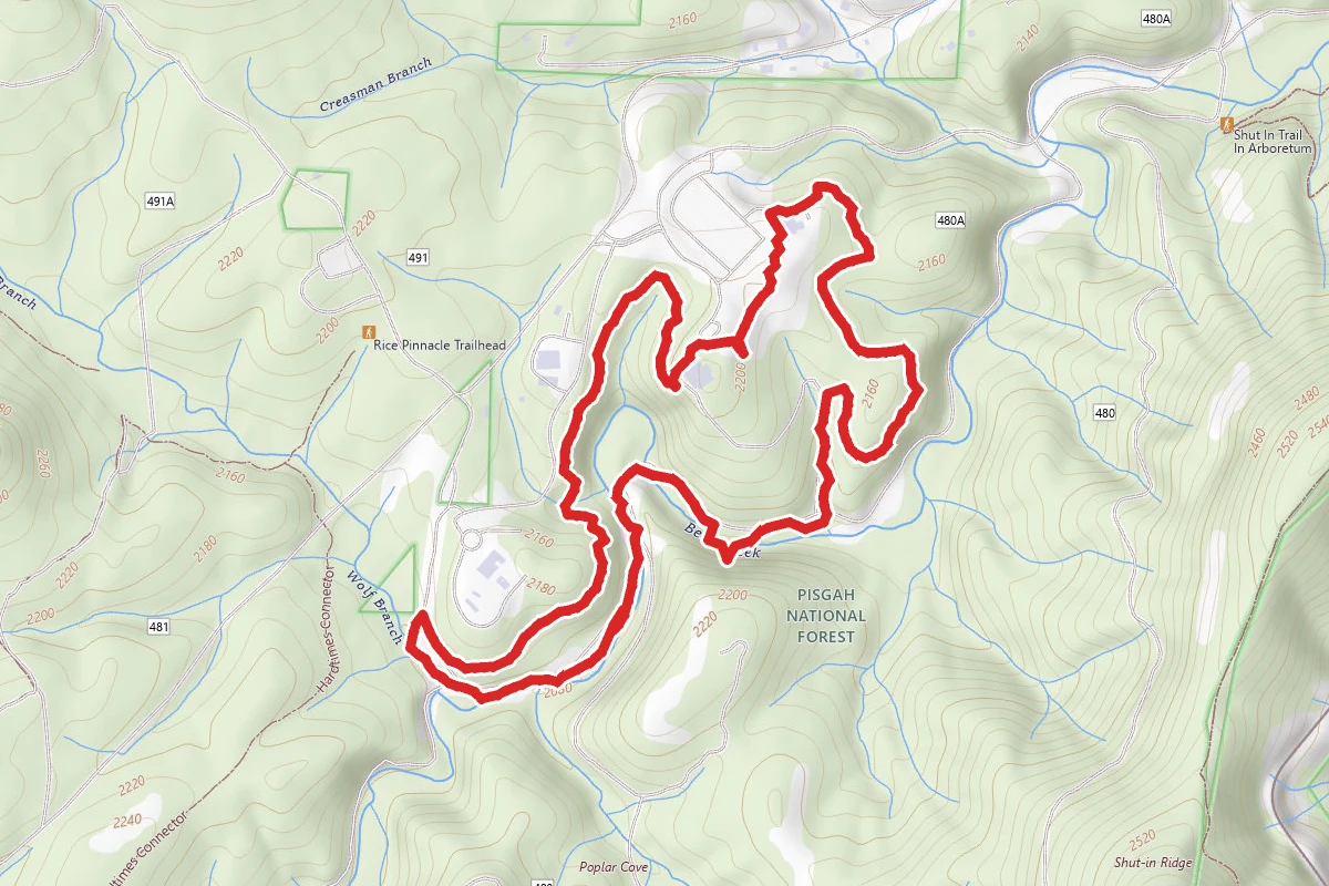 Natural Garden, Bent Creek and Carolina Mountain Loop
