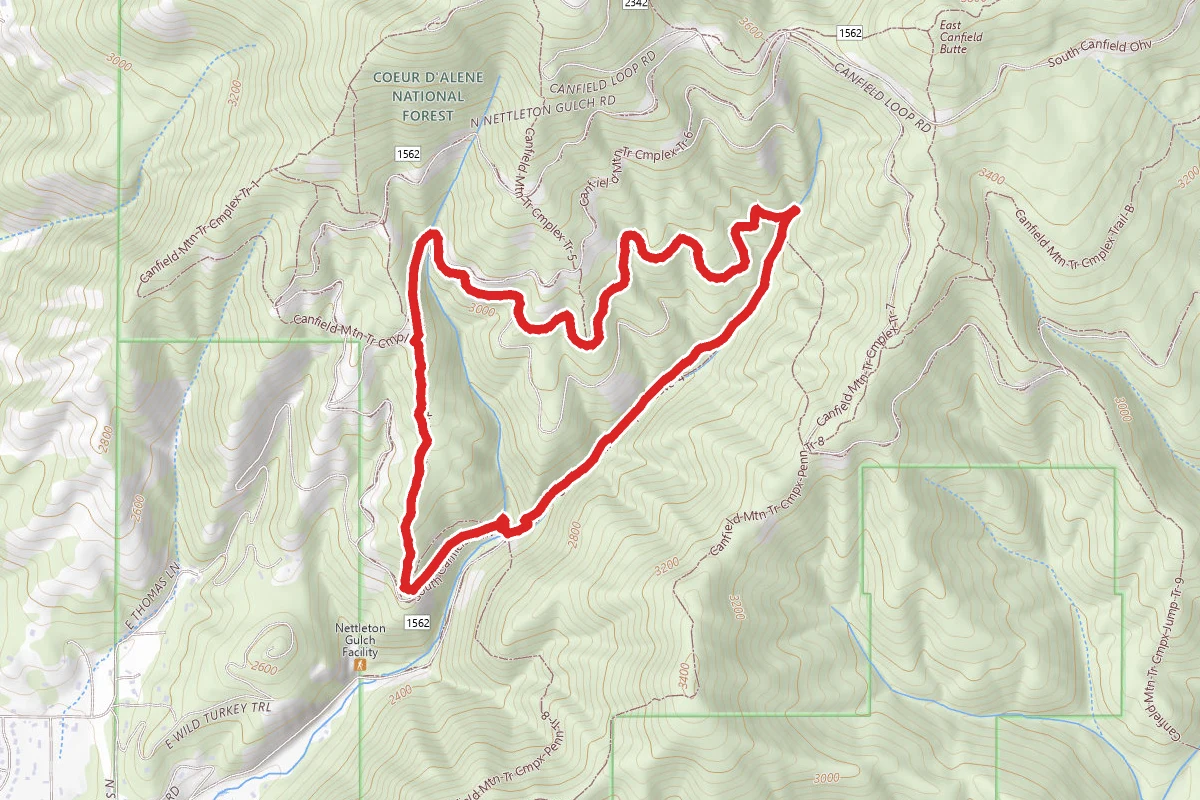 Canfield Mountain Trail 3, Trail A, and Cave Loop