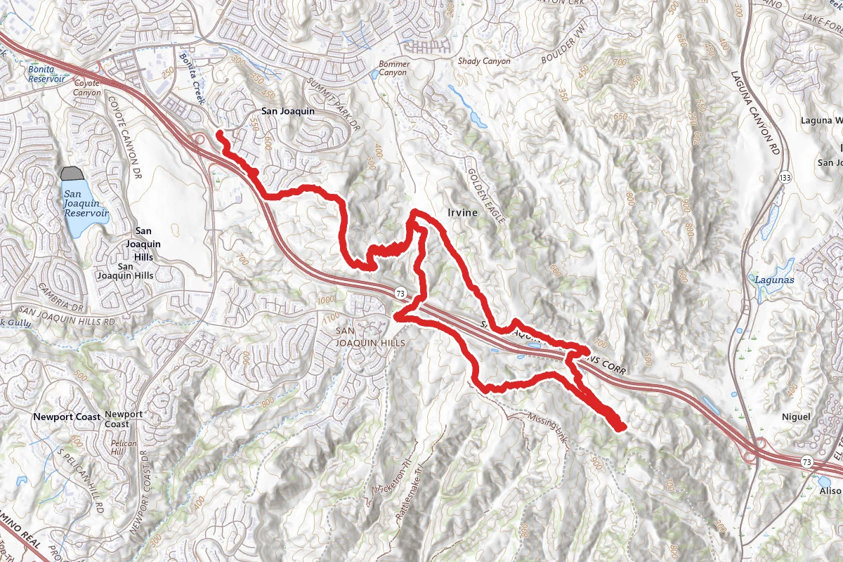 Turtle Ridge to West Fork to East Fork Loop
