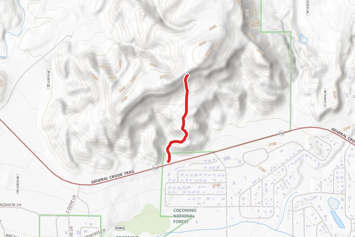 McDonald Trail