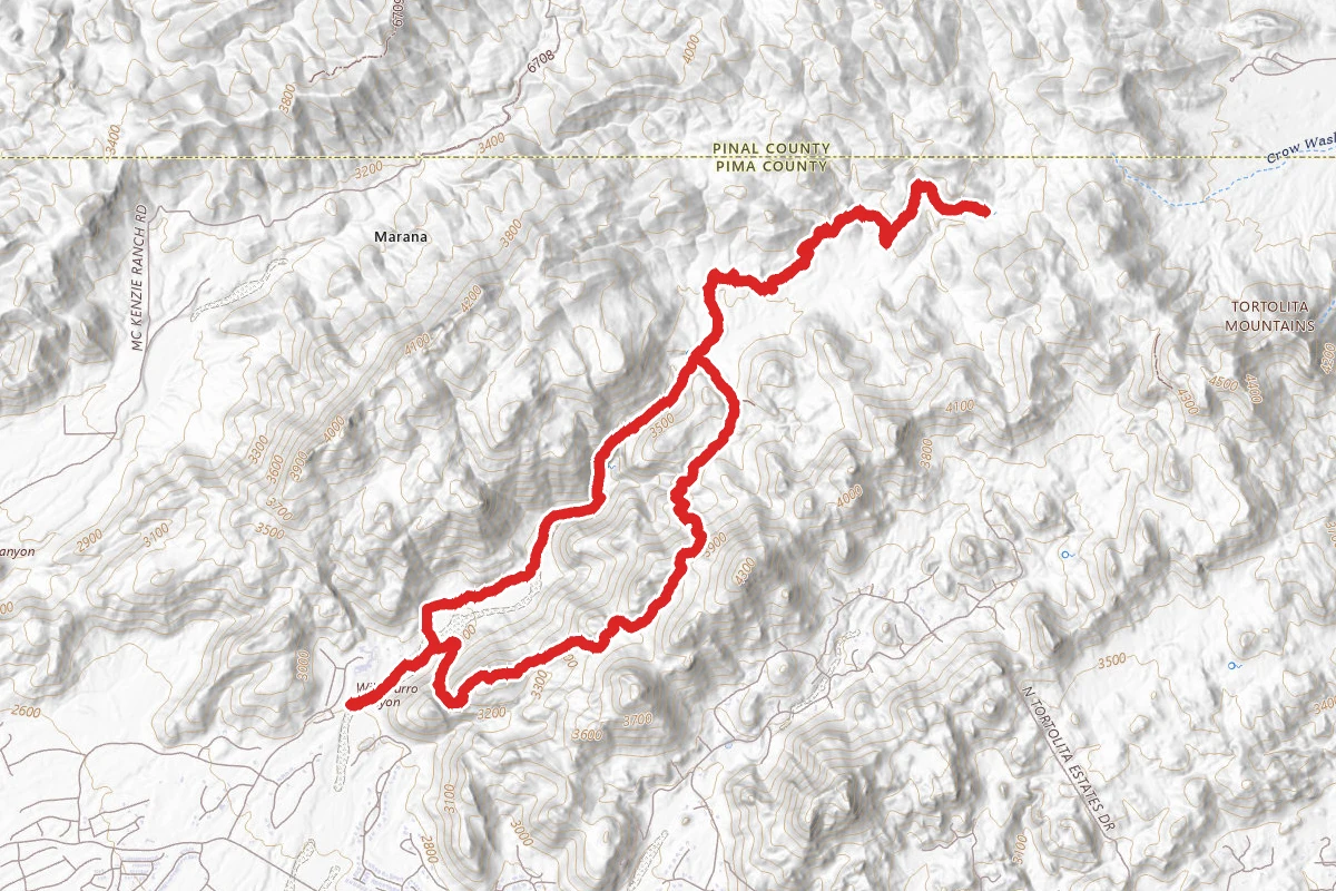 Wild Burro and Alamo Spring Loop