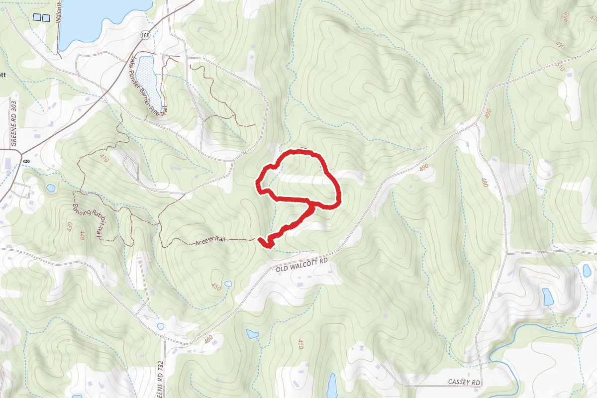 Spider Creek Trail
