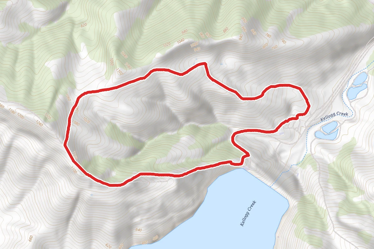 Los Vaqueros Dam Trail