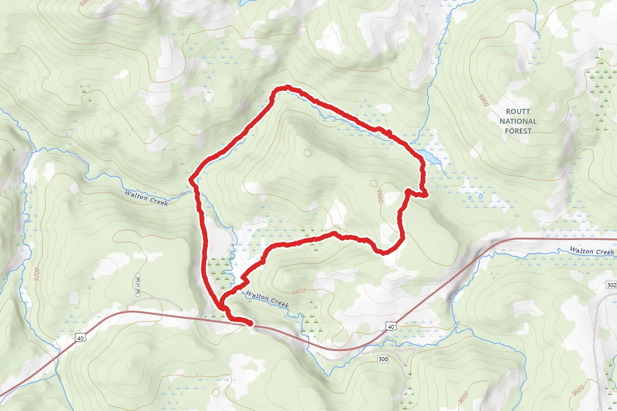 Fox Curve Loop