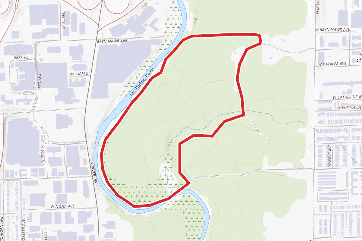 Catherine Chevalier Woods River Loop