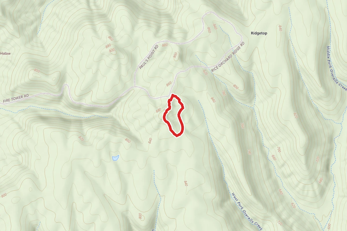 Fire Tower Loop at Bernheim Forest