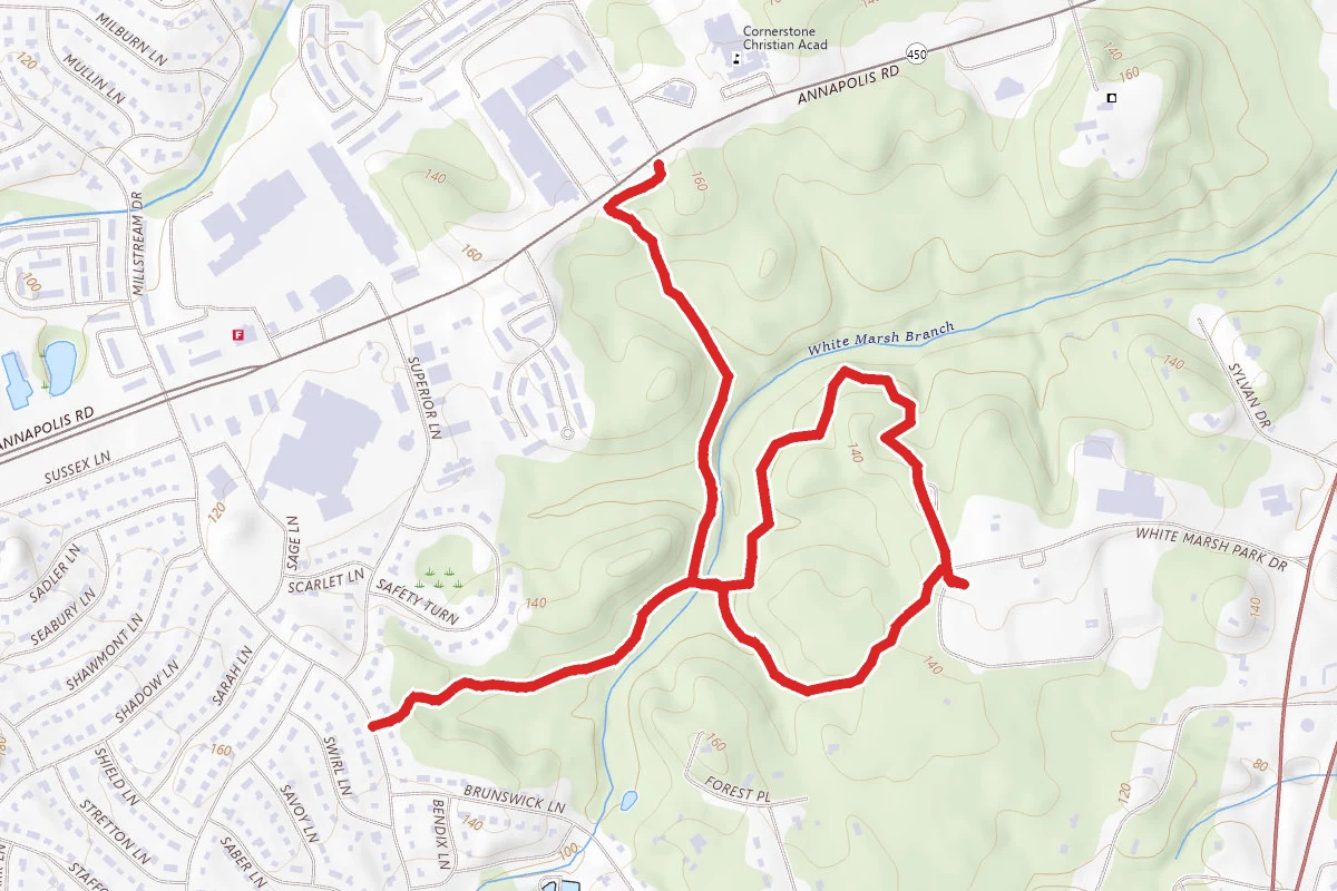 White Marsh Loop