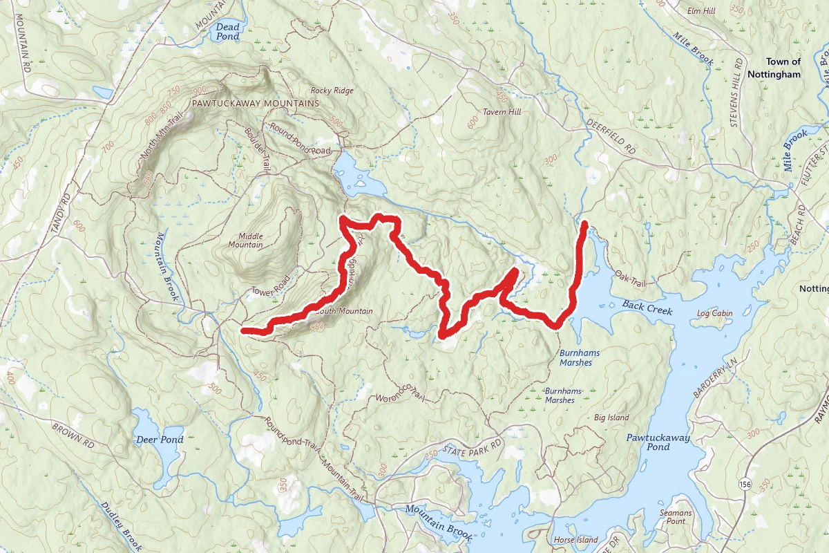 Fundy to South Ridge Summit Trail