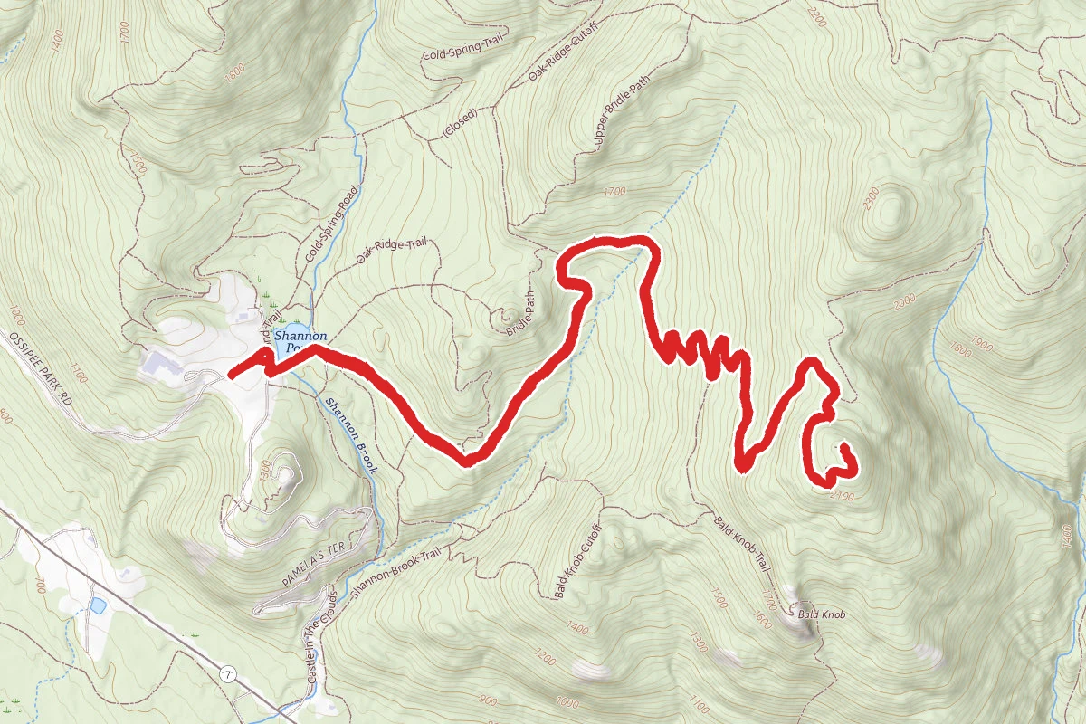 Turtleback Mountain Trail