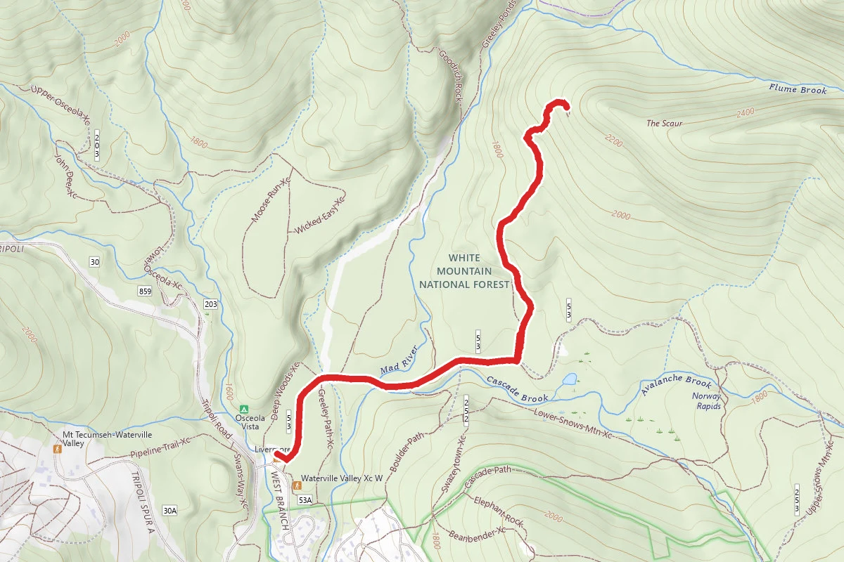 Irene's Path to the Scaur