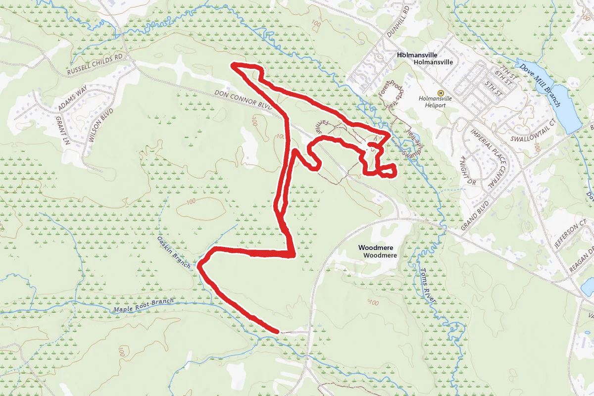 Forest Resource Education Center Trails