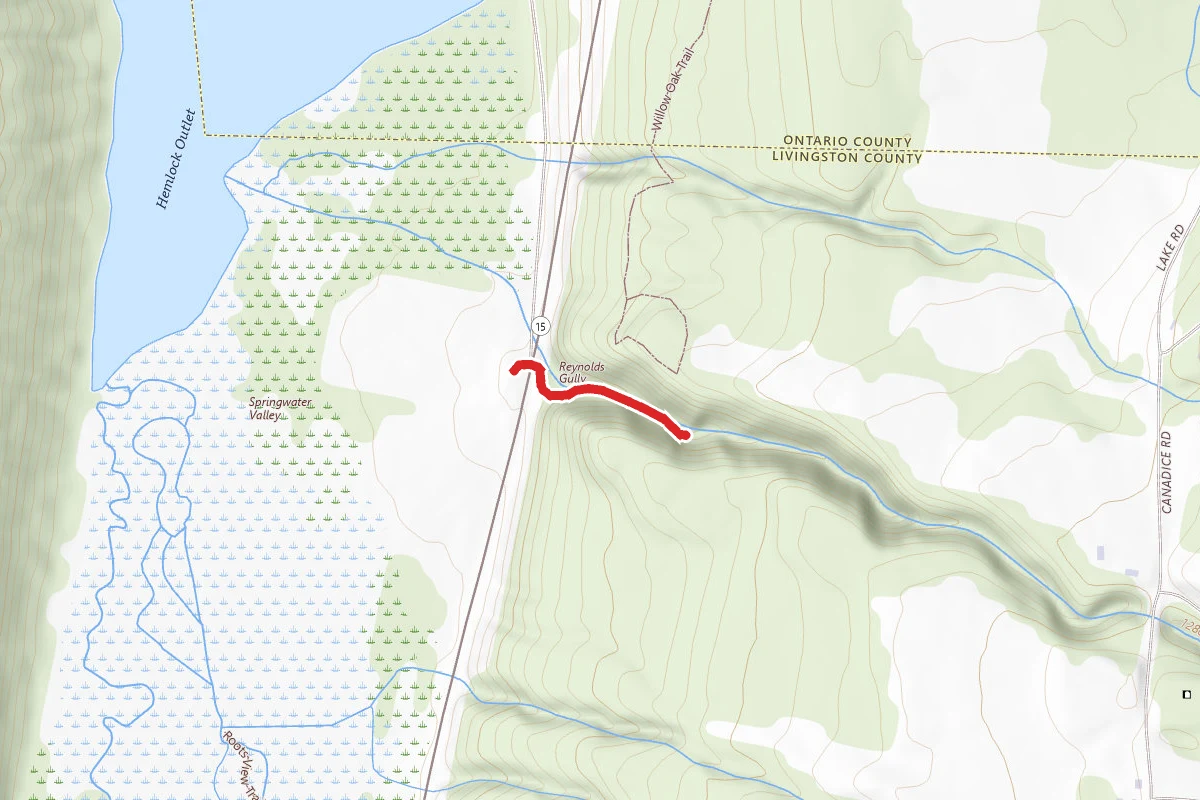 Reynolds Gully Falls