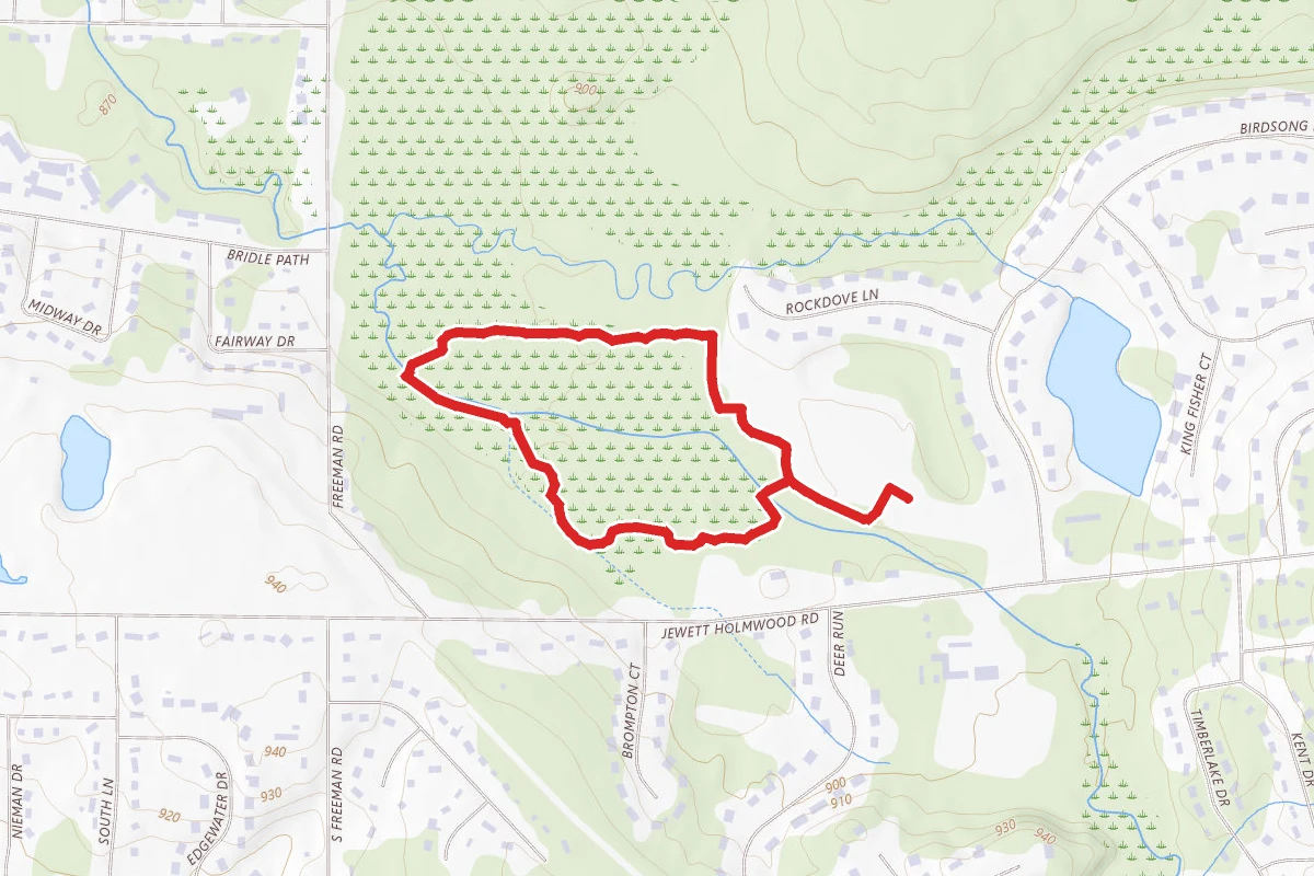 Birdsong Lake Loop