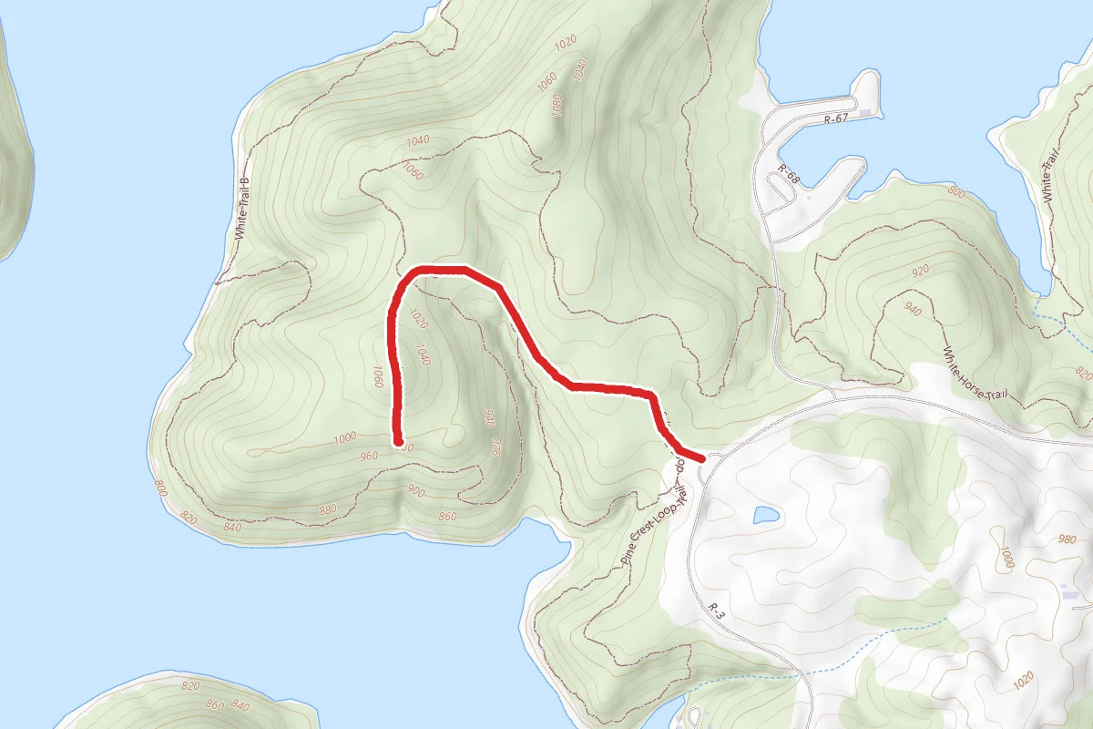 Morgan's Knob