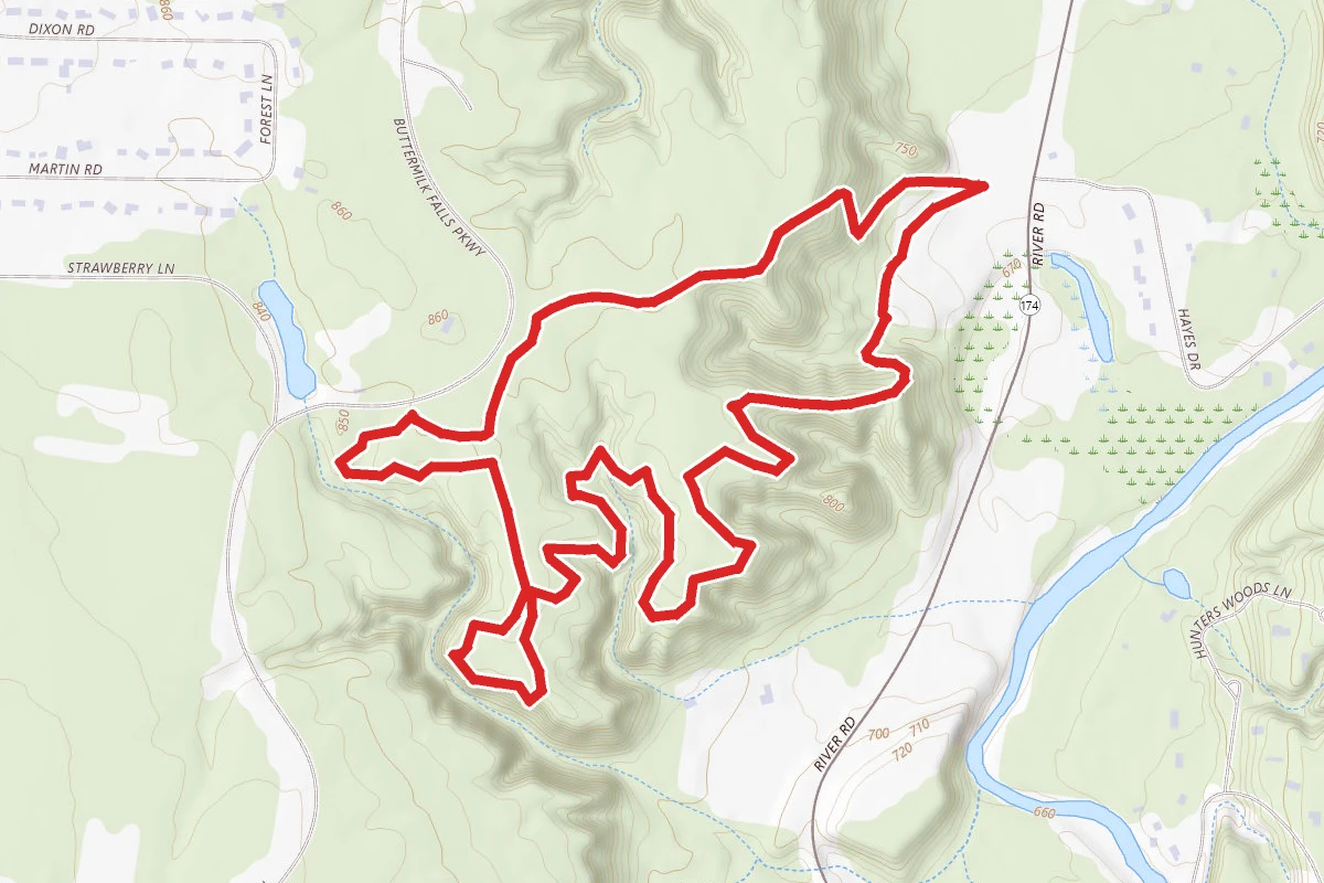 Bridle, White Pine, Scenic Loop and Squire's Lane