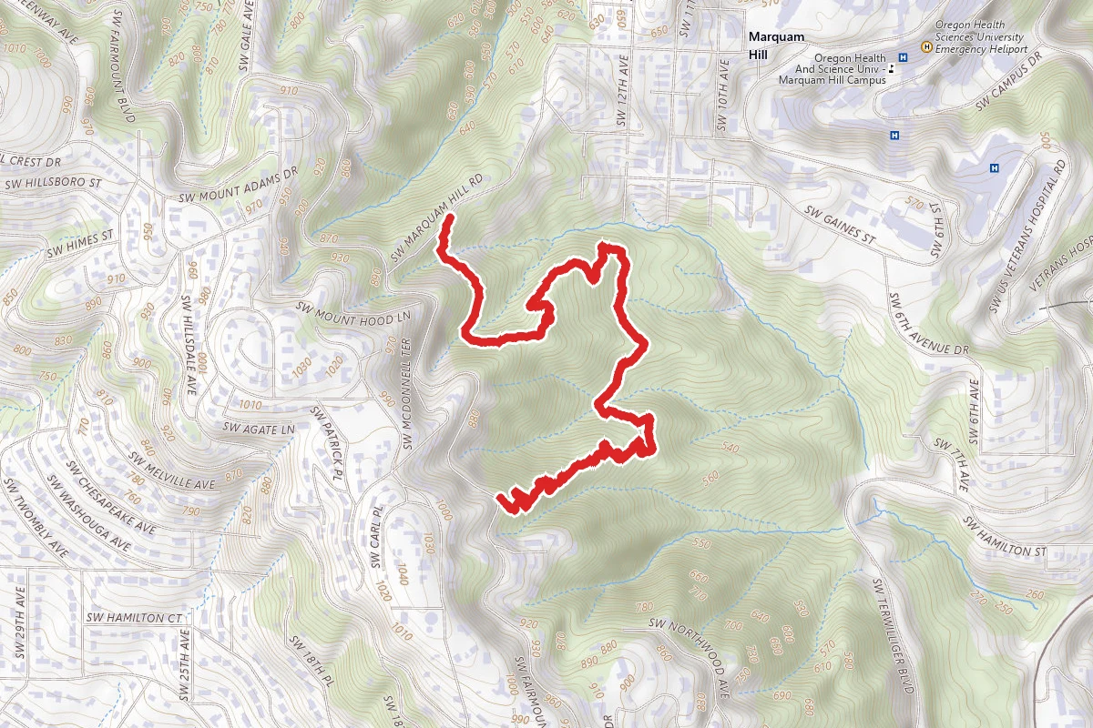 Warbler, Flicker and Towhee Trail