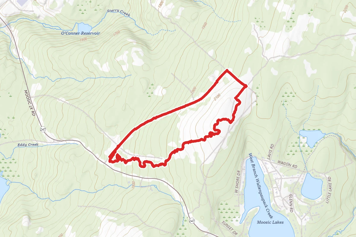 Nature Preserve and Blueberry Loop