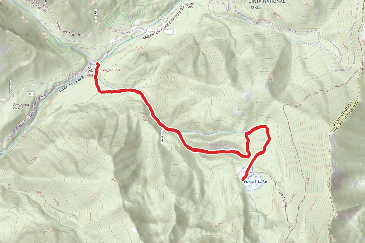 Shaffer Fork to Forest Lake OHV Route