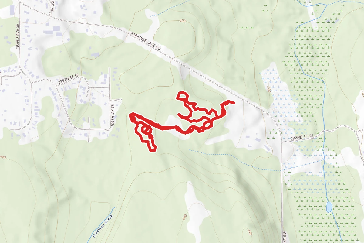 Whispering Firs, Cascara, Mainline and Lloyd Trail Detour Loop