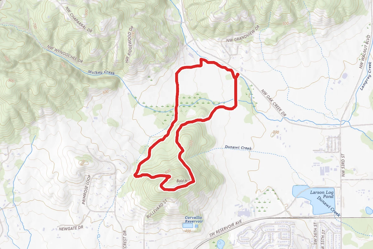 Bald Hill via Midge Cramer Path and Bald Hill Loop route map