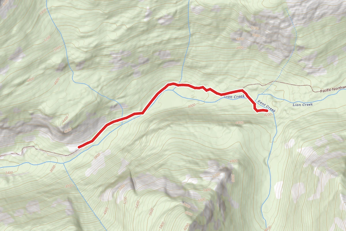 Lion's Head Creek Trail