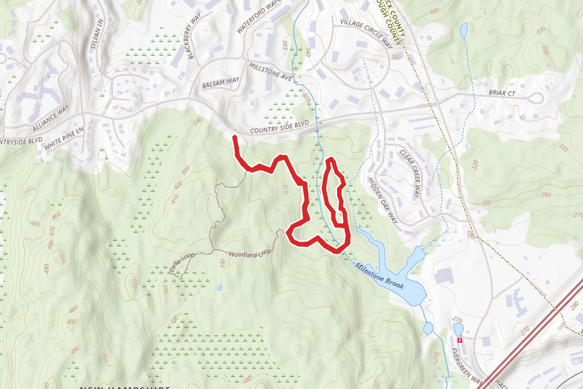 Rhododendron Loop Trail