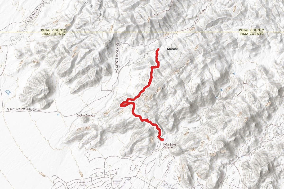 Cochie Springs Trail via Upper Javelina Trail