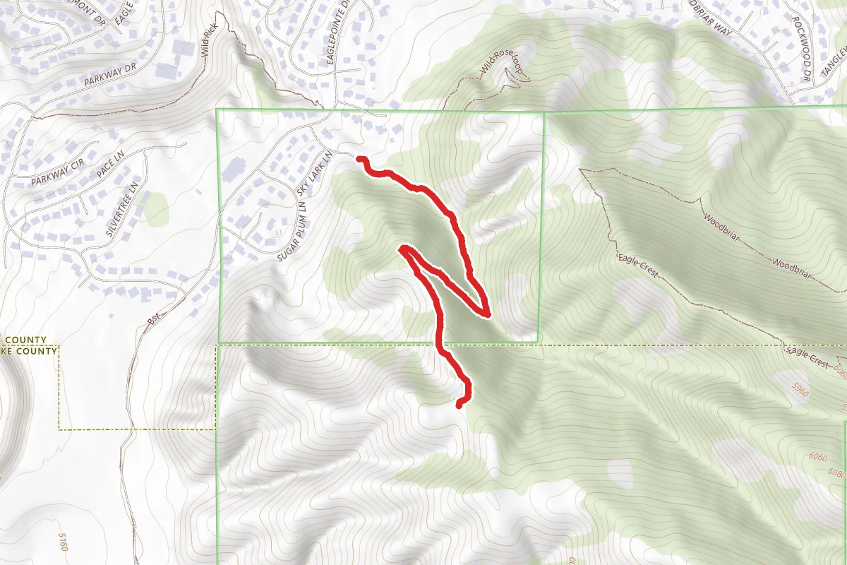 Wild Rose Trail to Viewpoint