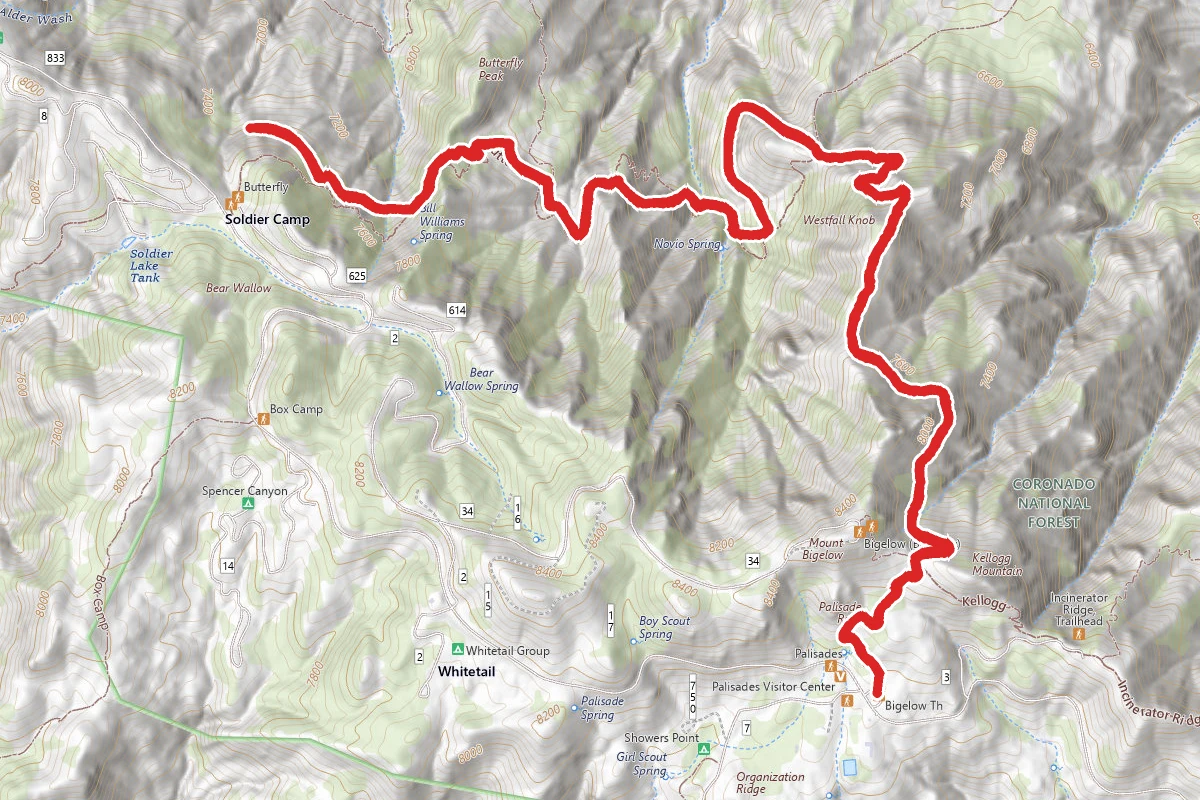 Butterfly Peak Trail from Palisade Ranger Station