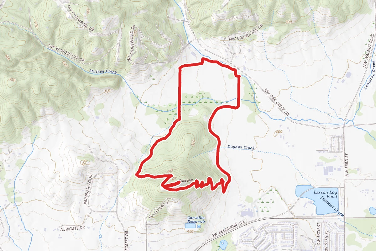 Bald Hill Natural Area Loop