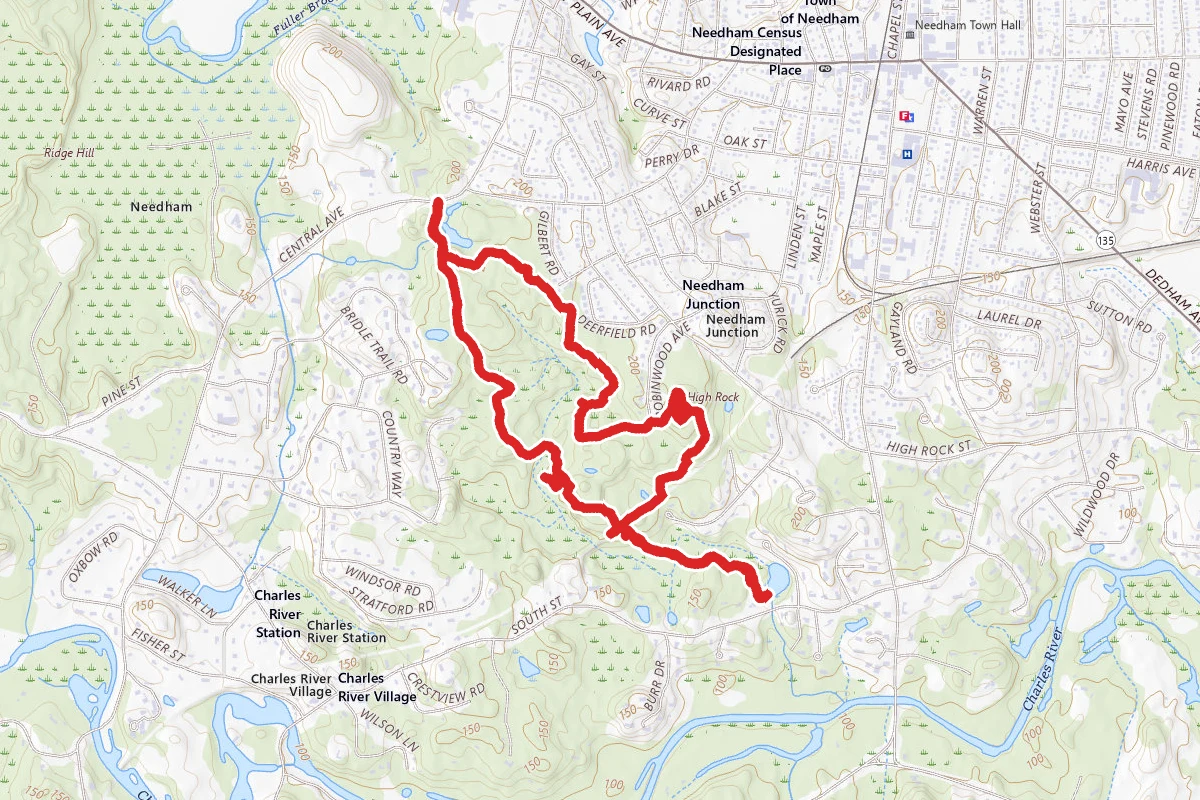 Needham Town Forest and Farley Pond Loop