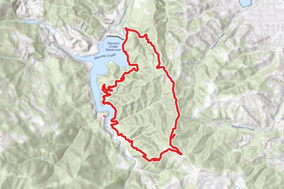 Tony Look Trail to Coyote Ridge to Lookout Trail Loop