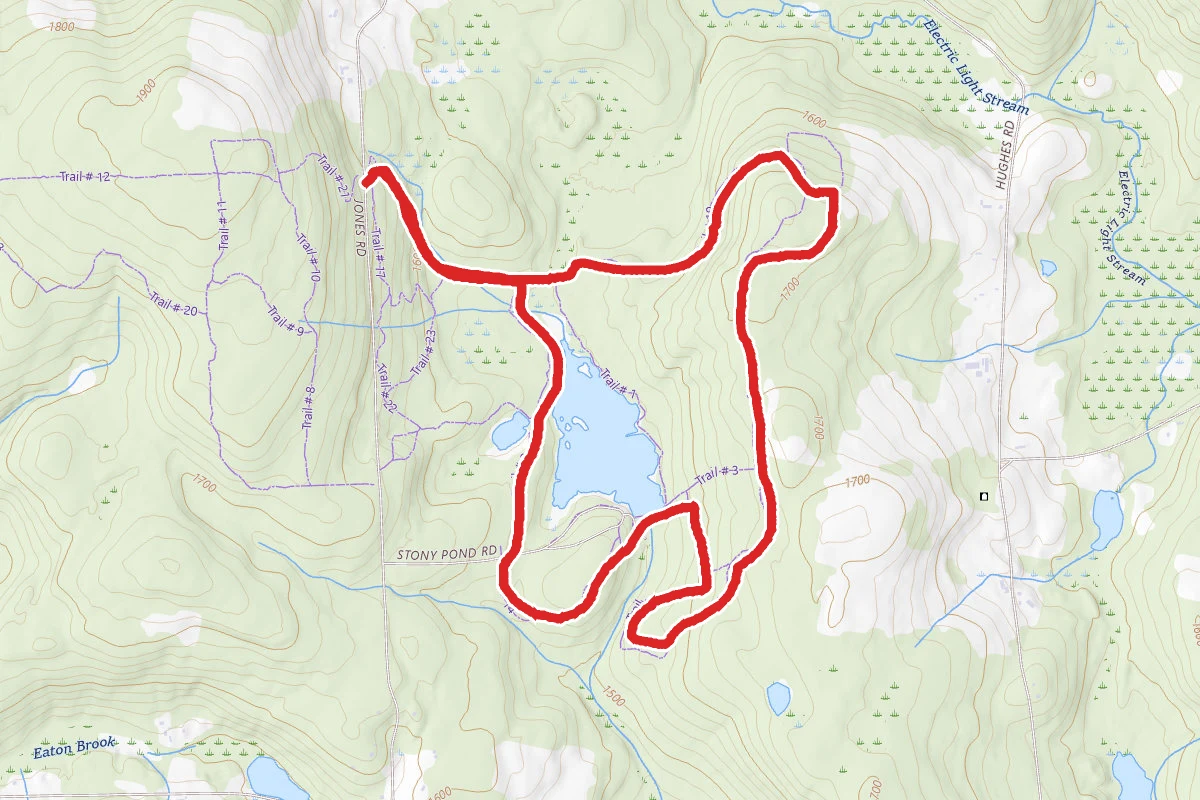 Stony Pond State Forest Loop