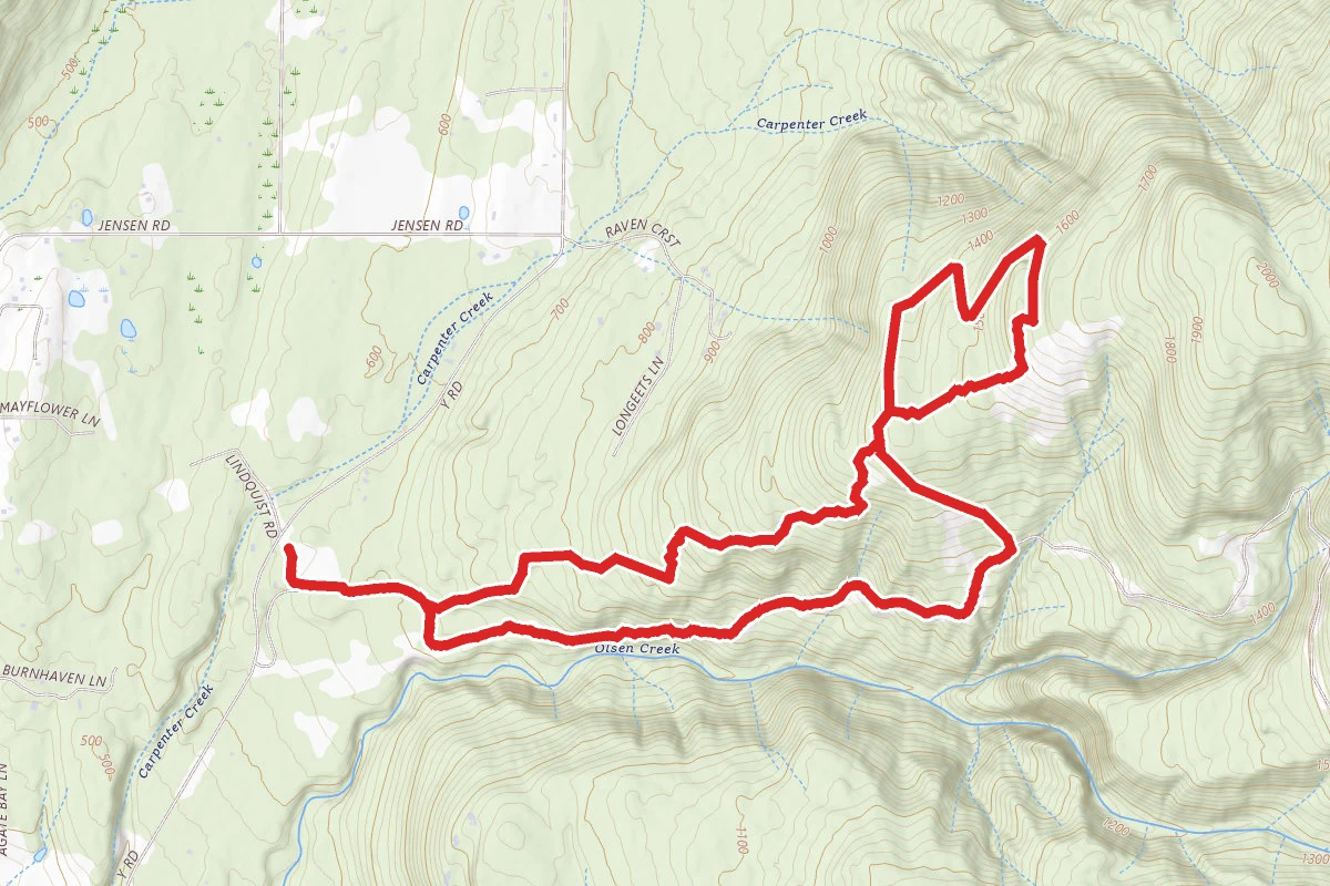Chanterelle Trail and Wickersham Truck Road Loop