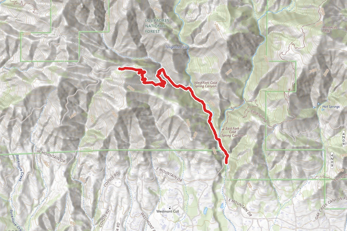 West Fork Cold Springs Trail