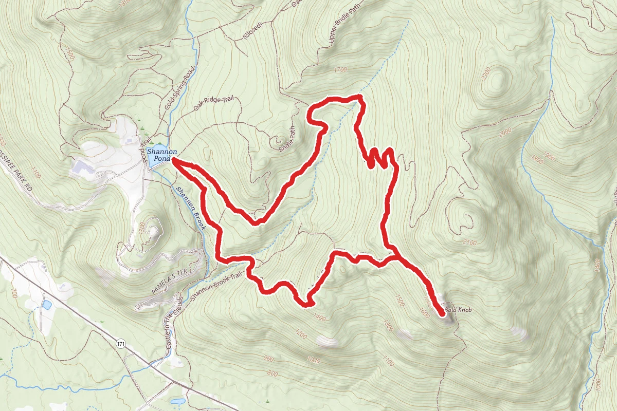 Bald Knob and Turtleback Mountain Loop