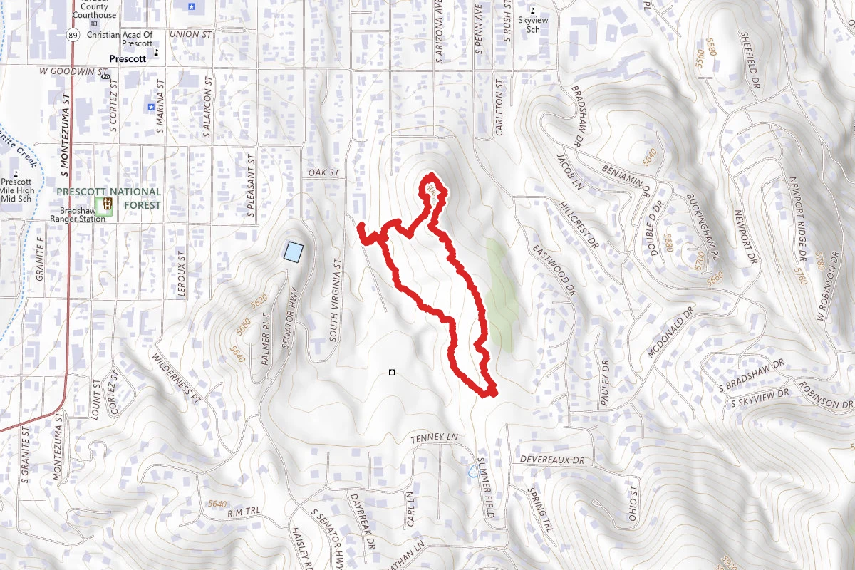 Acker Park Loop