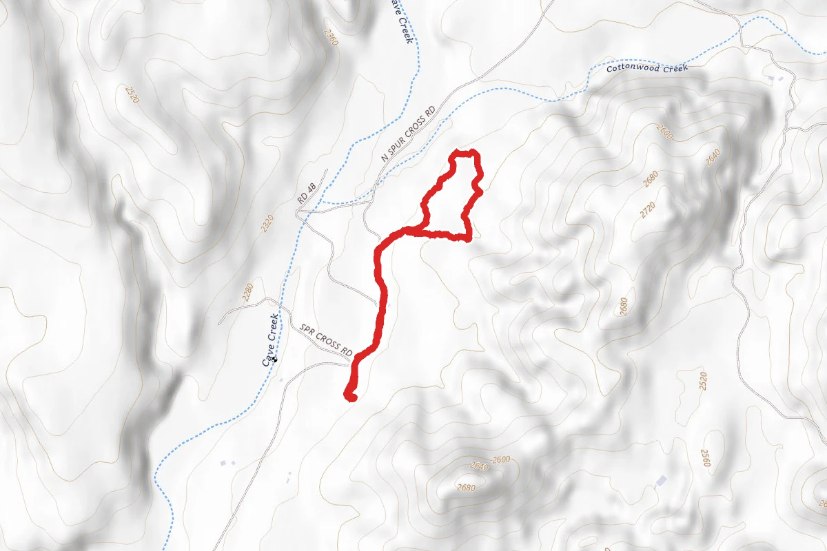 Fairy Duster Loop