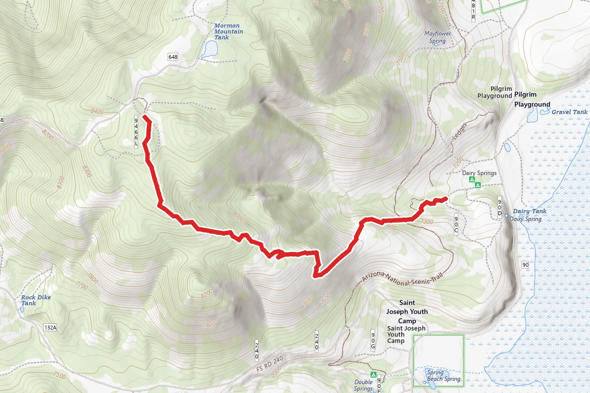 Mormon Mountain Trail