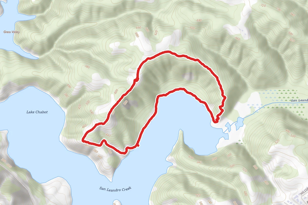 Honker Bay Loop