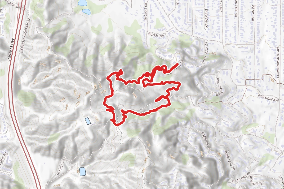 Forest Hill, Liz’s, Owl, Alpha and Conservancy Loop