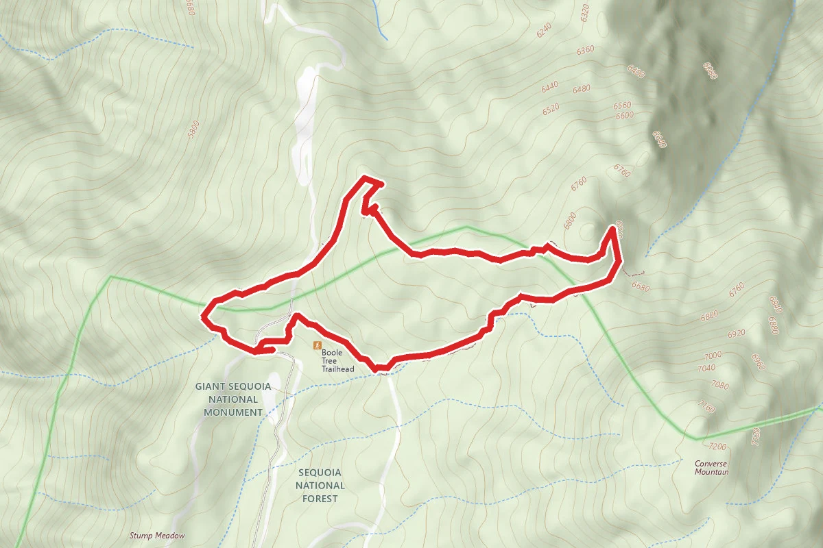 Boole Tree Loop Trail